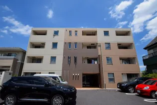 フィオーレの画像