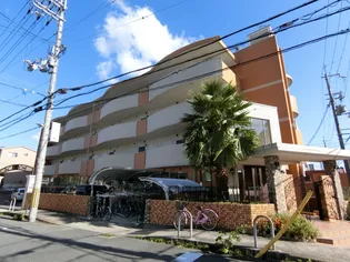 デル スール ラ ローザの画像