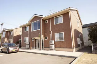 オリーブ Bの画像