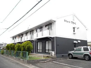 セジュールマカベの画像