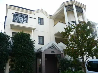 MSビューラーの画像