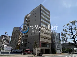 MARKSFORT花畑の画像