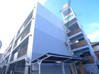 フェリス黒砂の画像