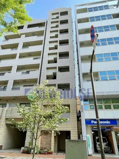 MI A STELLA【4階】の外観