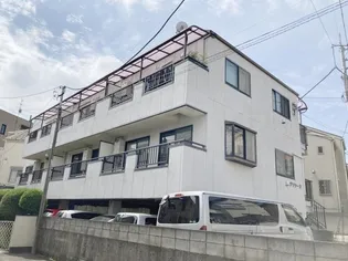 グリシーヌの画像