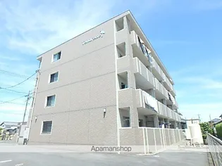 タンドレスの画像