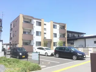 ルミナスMの画像