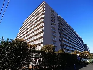 白井ロジュマンの画像