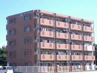 Y M JUPITERの画像