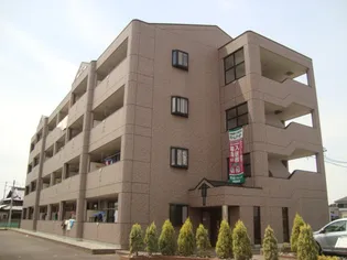 シャングリラ【3階】の外観