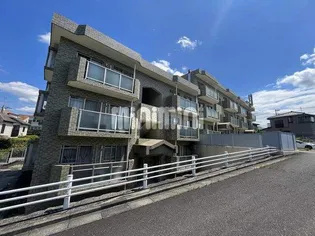 D Y 東戸塚の画像