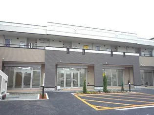 ブルーローズの画像