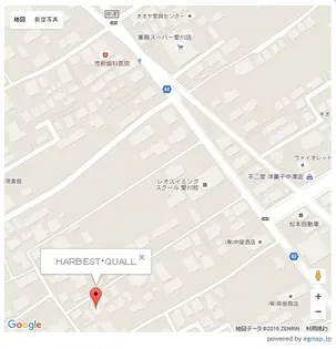 HARBEST・QUALLのその他画像