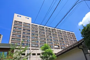 幡ヶ谷ゴールデンマンション【10階】の外観