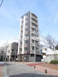 STELLA SENDAIZAKAの画像