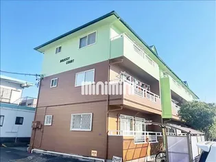 ロキシーコートの画像