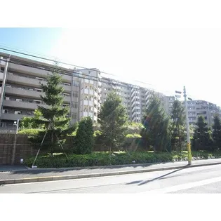 グランフォート用賀の画像