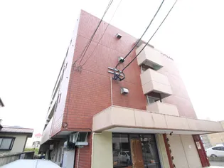 ハイツ新香舎【4階】の外観