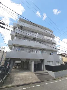 ヨコハマフィズの画像