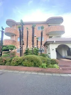 ハイム樹の画像