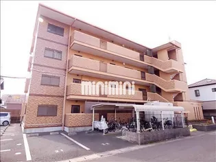 ソレアード羽根の画像