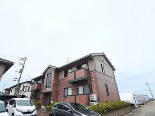 アクアグレイス Aの画像