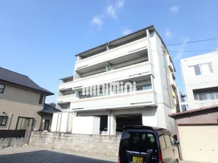 ジェンティーレの画像