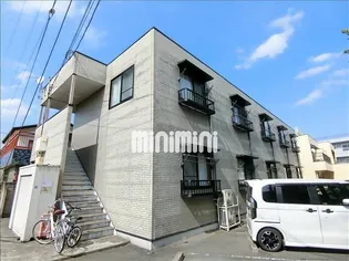 センチュリーカシワの画像