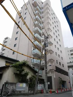 ステラ北進【4階】の外観