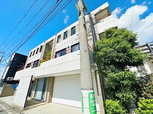 アイビーの画像