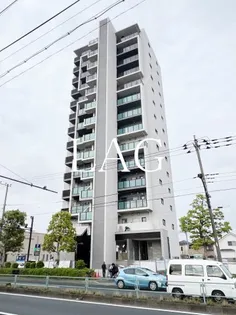 ウィステリア青砥【14階】の外観