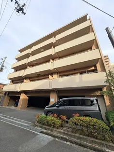 パレビバスの画像