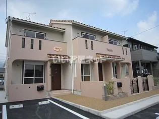 スペランツァの画像