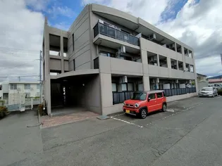 シルクコートの画像