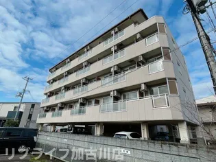 フェルシアIDOの画像