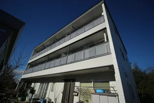 ミオスタンツアIIの画像