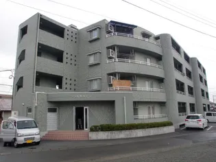 ヴィラ大国 NO2の画像