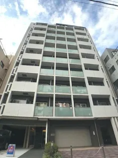 グレースランドの画像