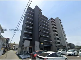 SOLANA月出の画像