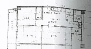 BAUHAUS牛田中【4階】の間取り