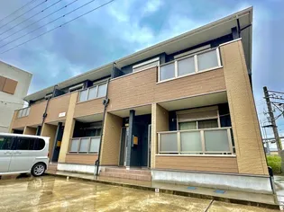 エーデルワイスの画像