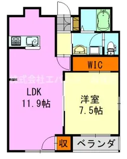 APIA【1階】の間取り