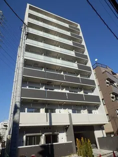 シエロ フィオーレの画像