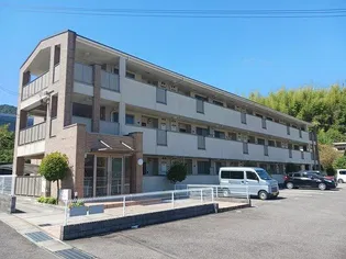 VENTO LUCEの画像