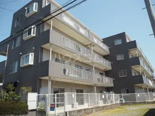 グレーストーエイの画像