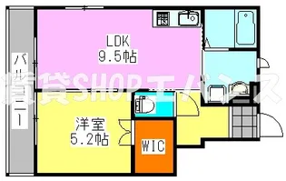 ルーツ17番館【1階】の間取り