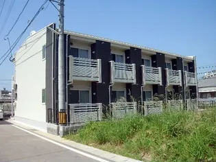 レオネクストサンセレーナの画像