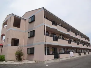 プレミールレイの画像