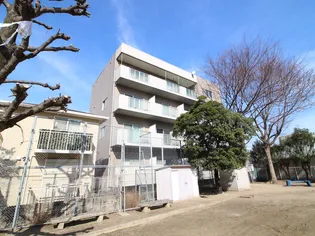 AFFABILE MIDORIの画像