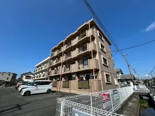 FREEDOMの画像